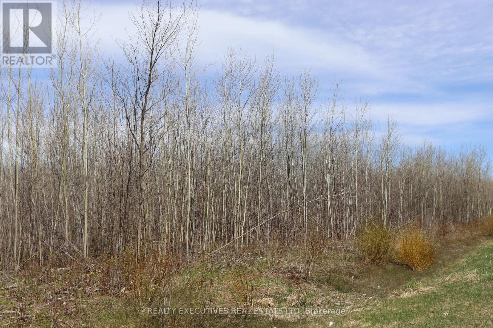 15905 Concession 2-3 Road, North Stormont, Ontario  K0C 1K0 - Photo 9 - X12124431