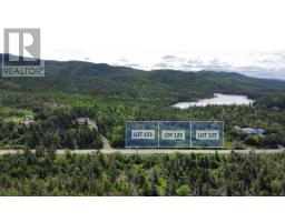 121 Salmonier Line, Holyrood, Newfoundland & Labrador