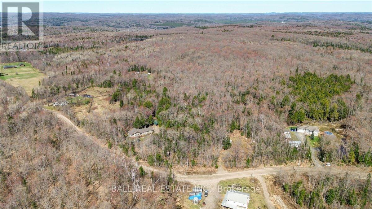 867 Brethour Road, Bancroft, Ontario K0L 1C0 - Photo 47 - X12124668