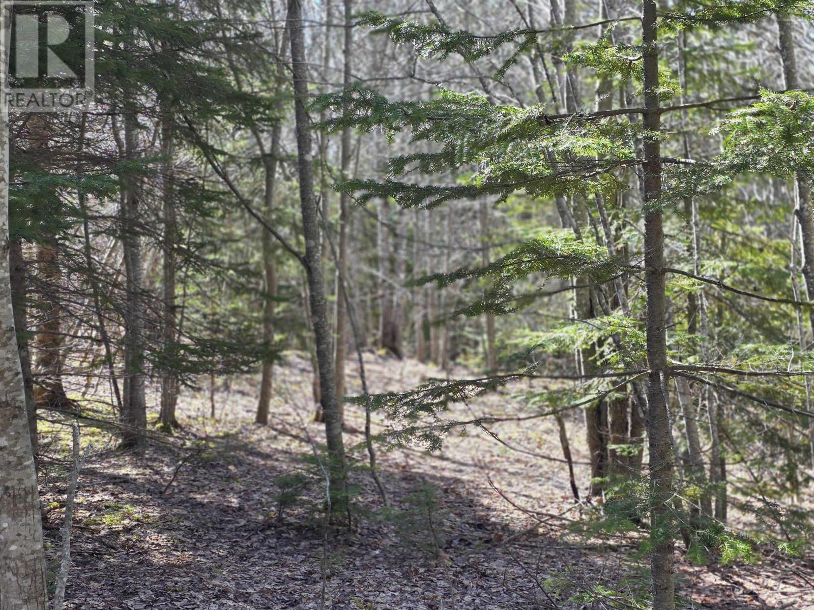 Macleod Settlement Road, Upper Southwest Mabou, Nova Scotia  B0E 2W0 - Photo 8 - 202509856