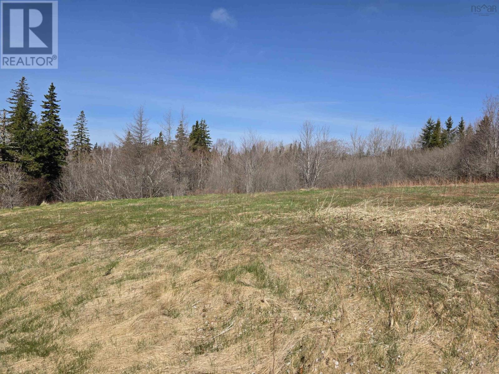 Macleod Settlement Road, Upper Southwest Mabou, Nova Scotia  B0E 2W0 - Photo 20 - 202509856
