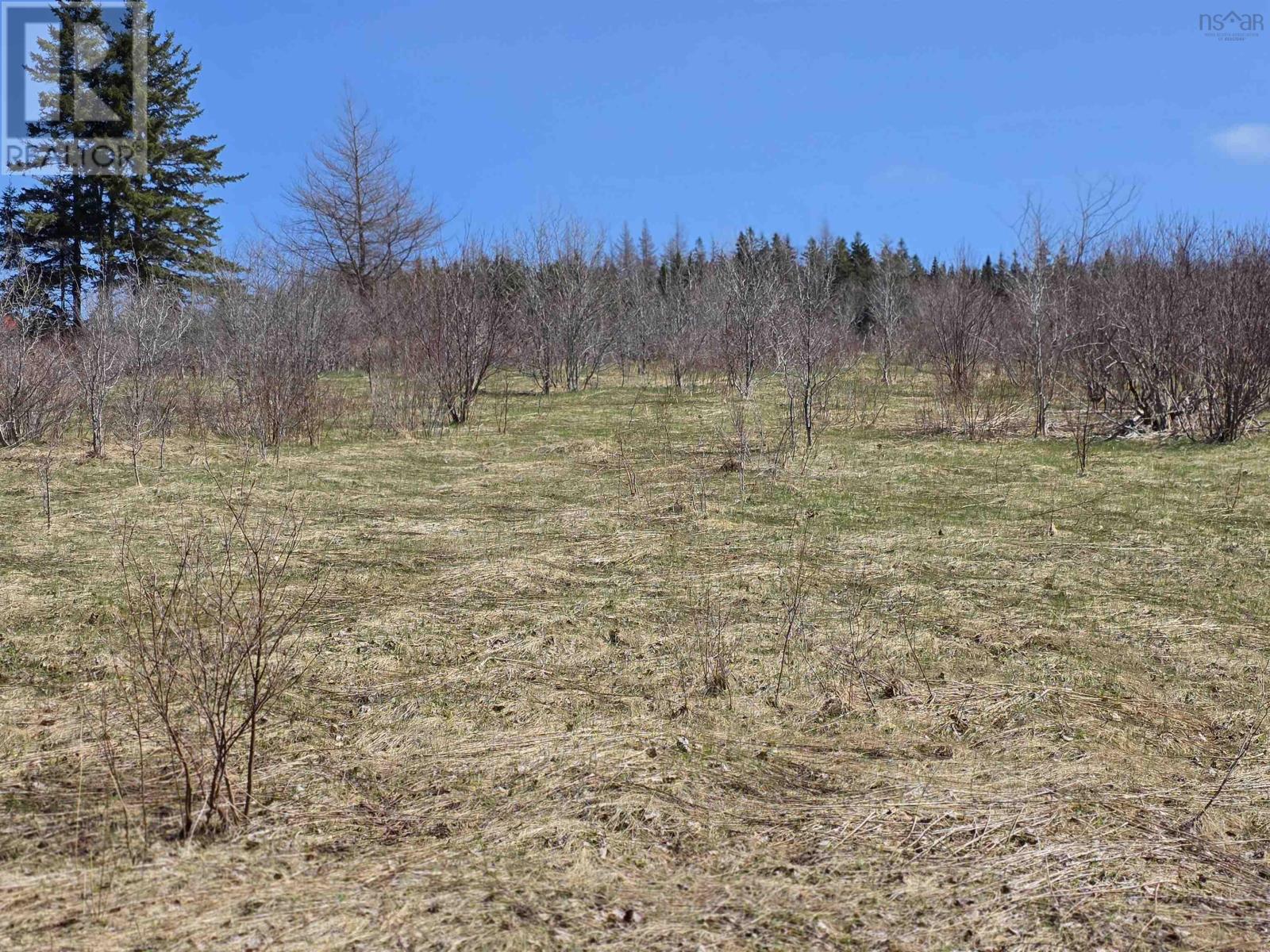 Macleod Settlement Road, Upper Southwest Mabou, Nova Scotia  B0E 2W0 - Photo 21 - 202509856