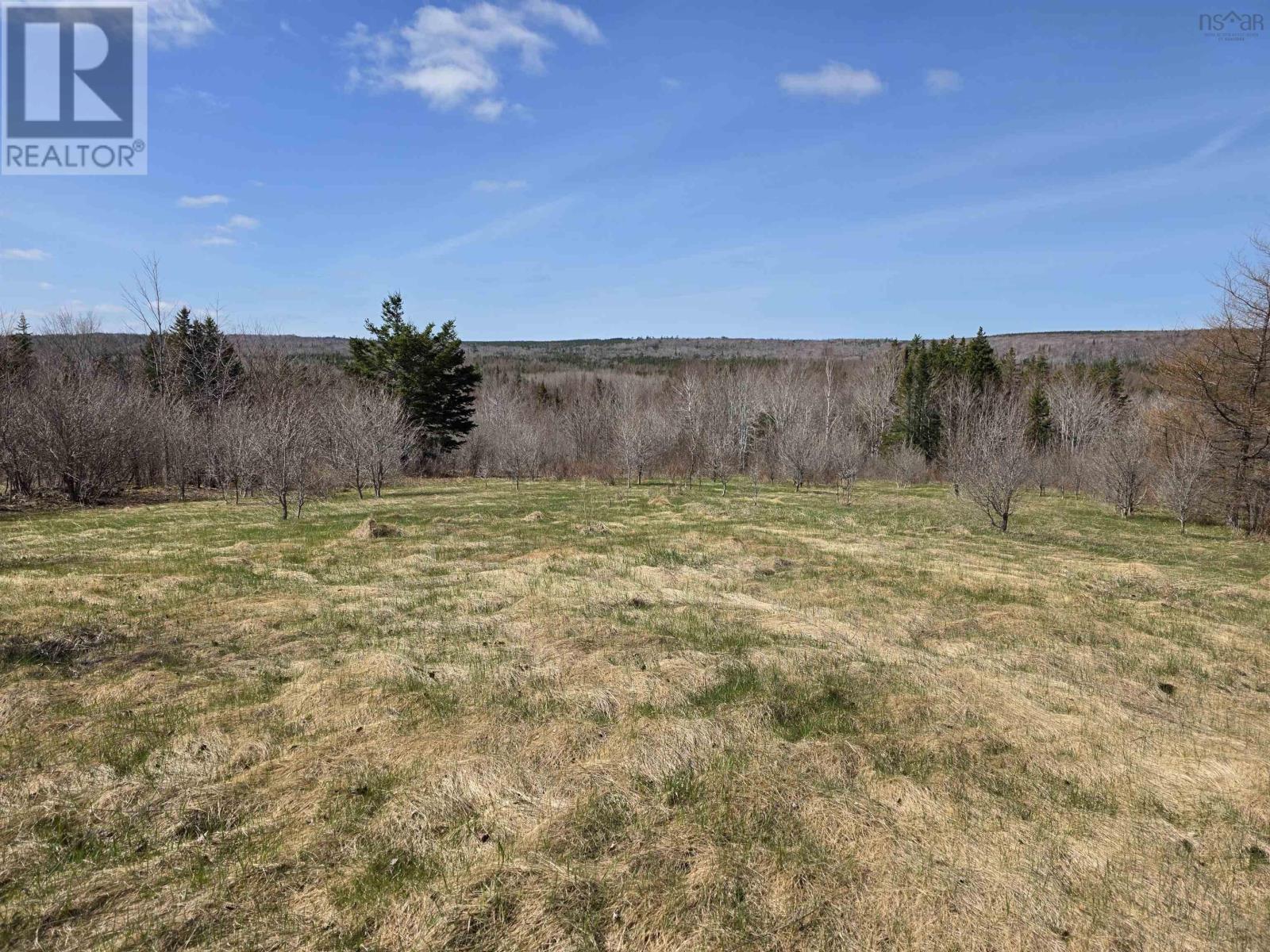 Macleod Settlement Road, Upper Southwest Mabou, Nova Scotia  B0E 2W0 - Photo 22 - 202509856