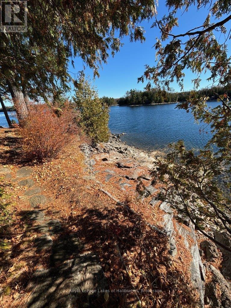 96 Pine Point Trail, Trent Lakes, Ontario  K0M 2A0 - Photo 11 - X12124717