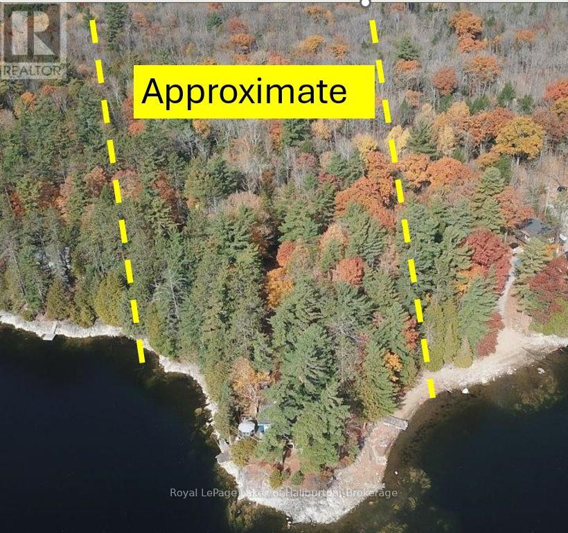 96 Pine Point Trail, Trent Lakes, Ontario  K0M 2A0 - Photo 41 - X12124717