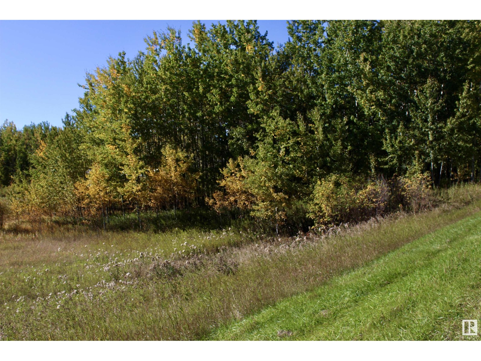 #113 50529 Rge Road 21, Rural Parkland County, Alberta  T0E 2N4 - Photo 5 - E4434531