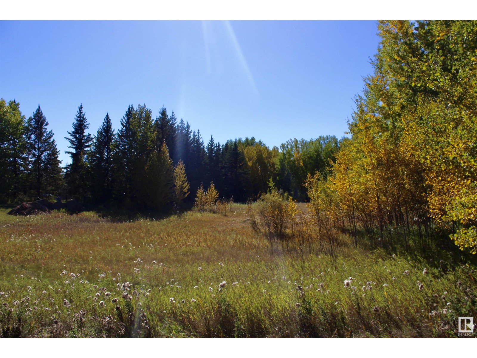 #113 50529 Rge Road 21, Rural Parkland County, Alberta  T0E 2N4 - Photo 11 - E4434531