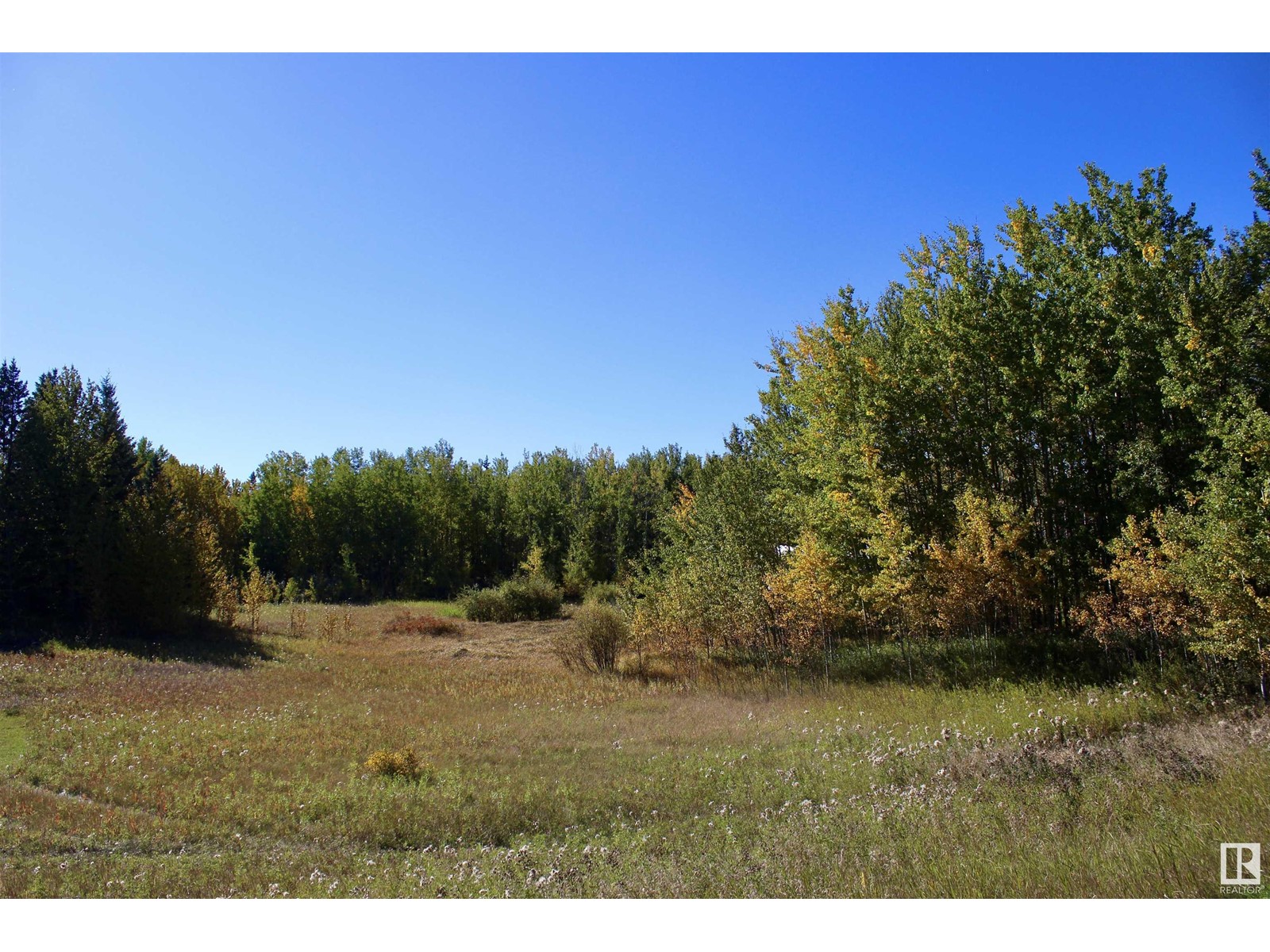 #113 50529 Rge Road 21, Rural Parkland County, Alberta  T0E 2N4 - Photo 8 - E4434531