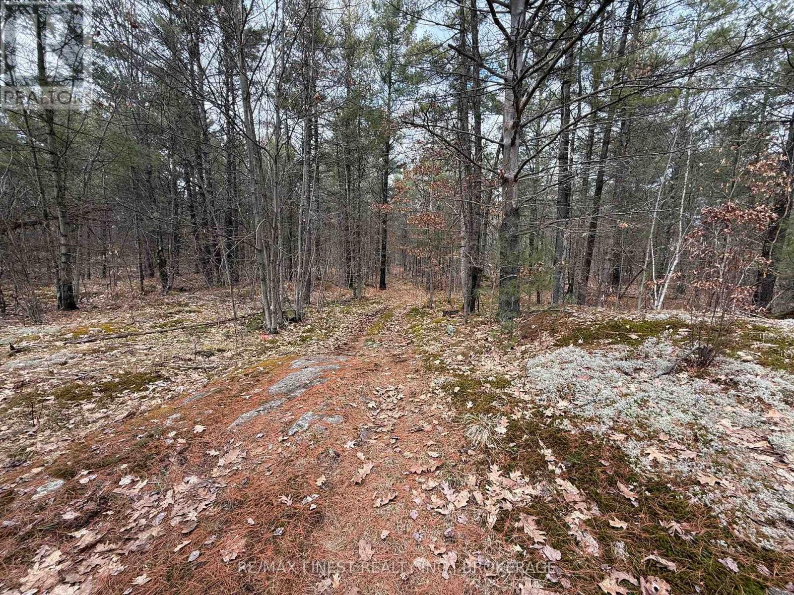 2066 Echo Lake Road, Frontenac, Ontario  K0H 1T0 - Photo 20 - X12124777