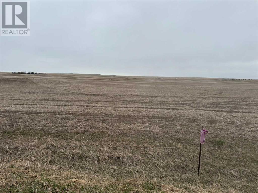 466 Ave E., Rural Vulcan County, Alberta  T0L 0J0 - Photo 12 - A2217316