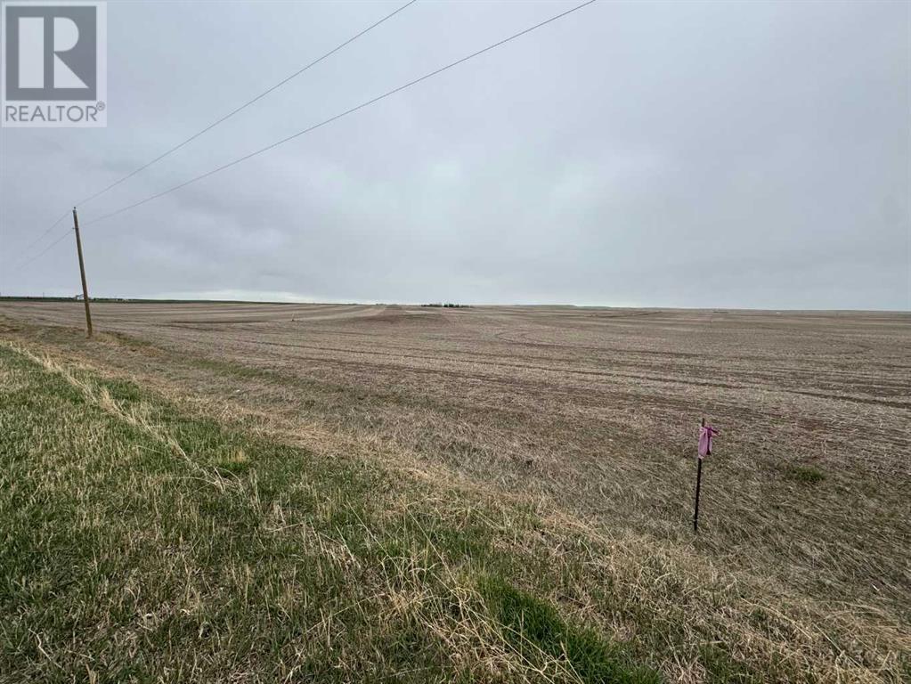466 Ave E., Rural Vulcan County, Alberta  T0L 0J0 - Photo 13 - A2217316