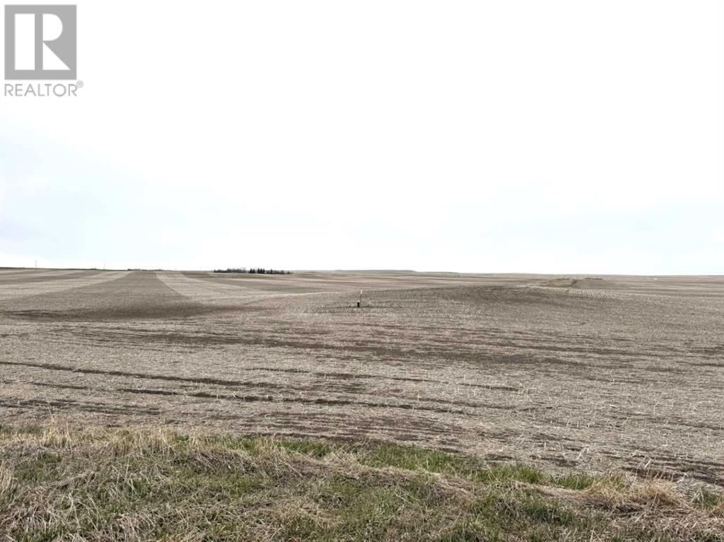 466 Ave E., Rural Vulcan County, Alberta  T0L 0J0 - Photo 3 - A2217316