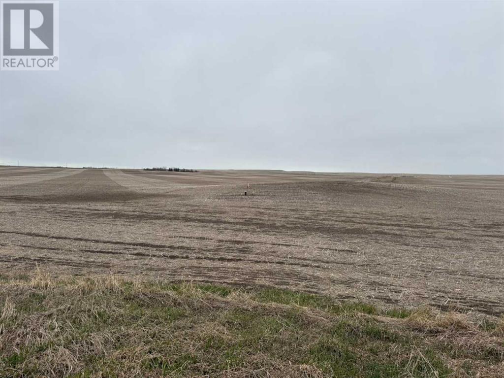 466 Ave E., Rural Vulcan County, Alberta  T0L 0J0 - Photo 8 - A2217316