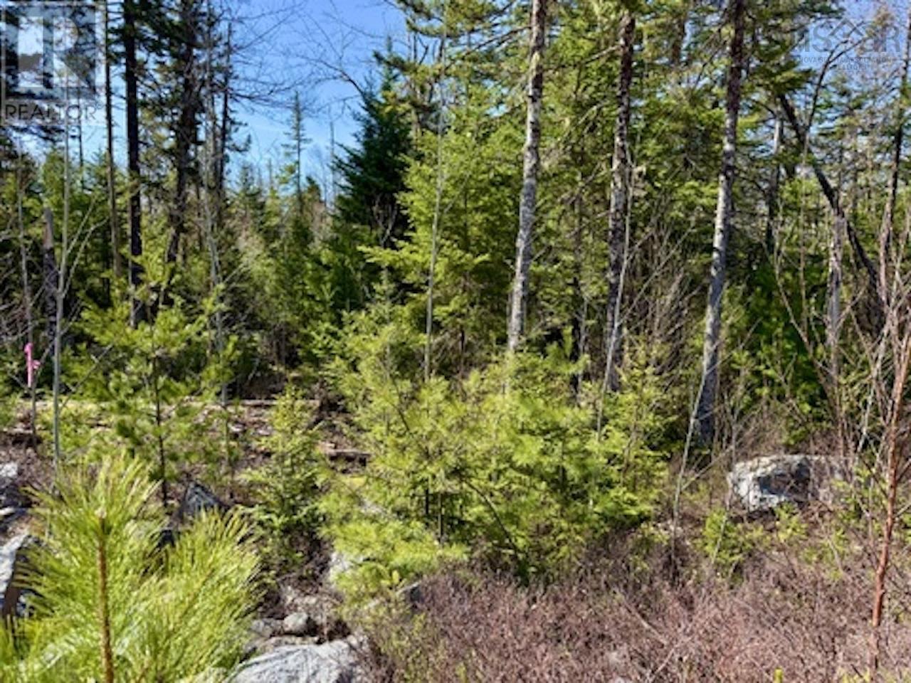 Lot 32 Dynasty Court, Sherwood, Nova Scotia  B0J 1J0 - Photo 14 - 202509834