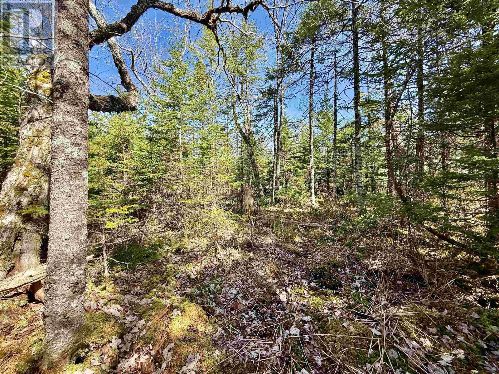 Lot 32 Dynasty Court, Sherwood, Nova Scotia  B0J 1J0 - Photo 7 - 202509834