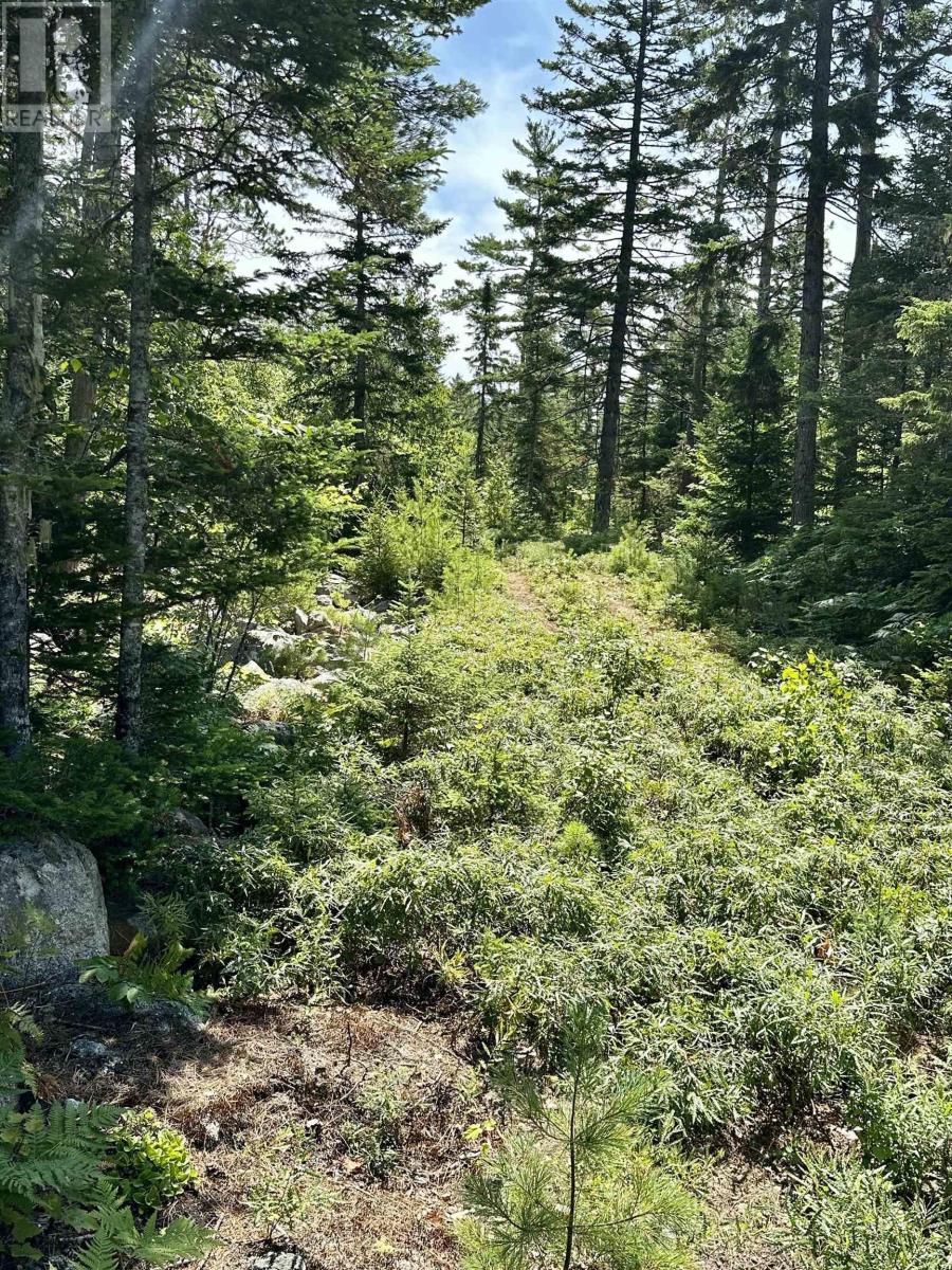 Lot 32 Dynasty Court, Sherwood, Nova Scotia  B0J 1J0 - Photo 8 - 202509834