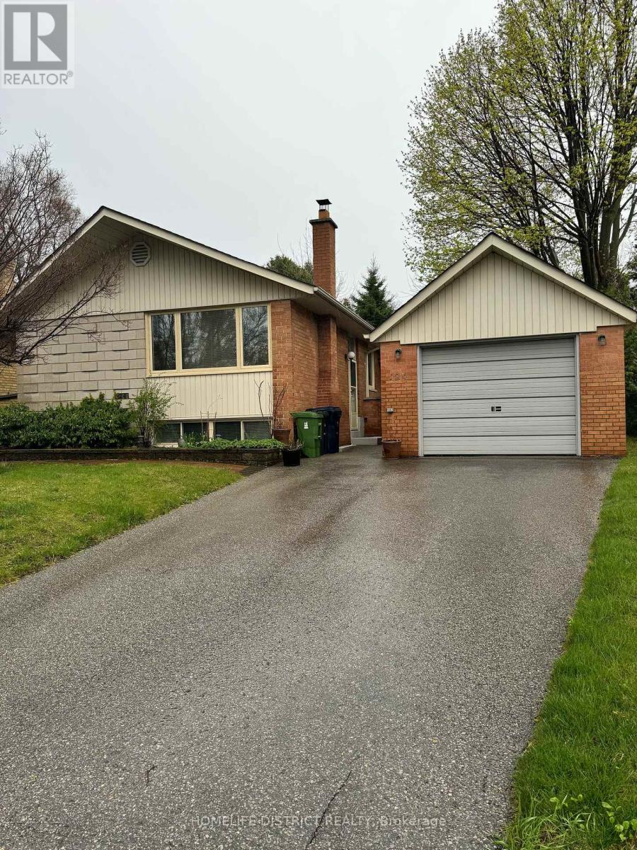 BASEMENT - 124 THICKETWOOD DRIVE, Toronto, Ontario