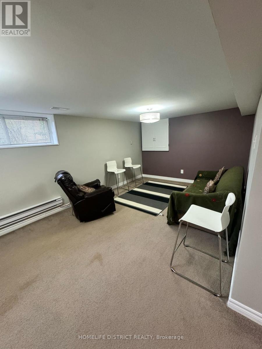 Basement - 124 Thicketwood Drive, Toronto, Ontario  M1J 2A3 - Photo 13 - E12125009