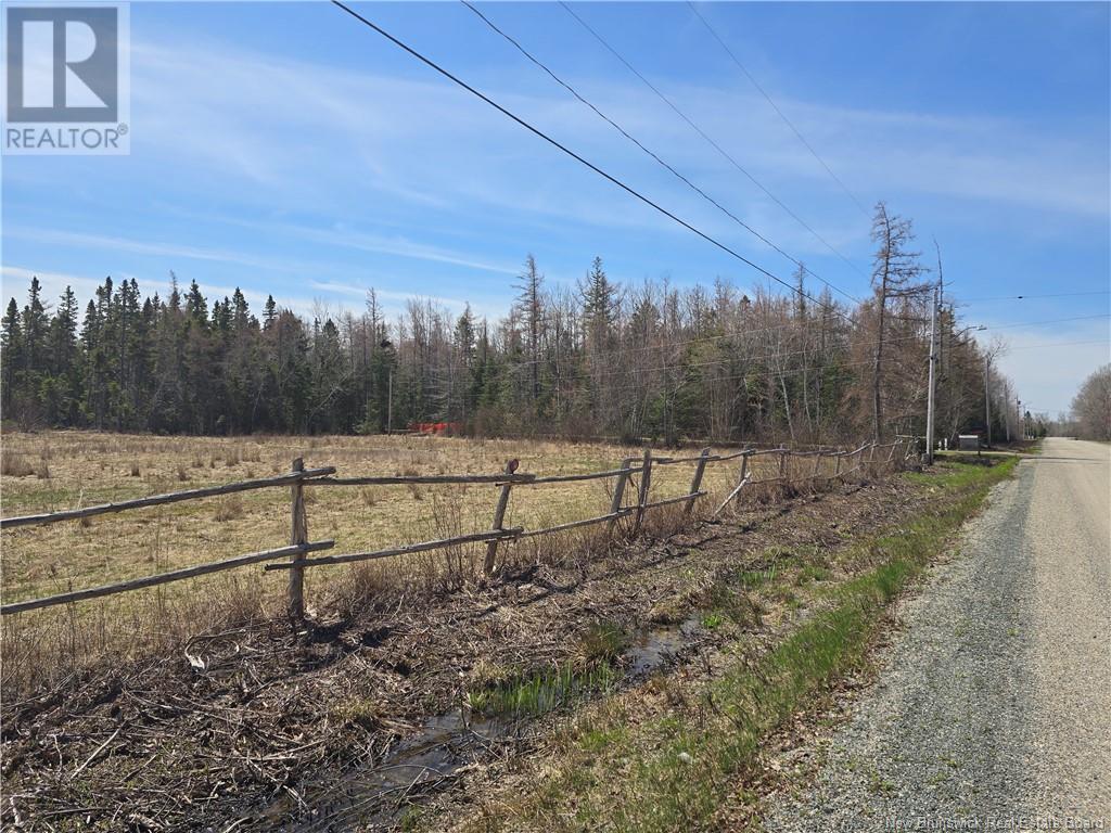 9 Acres North Black River Road, Black River Bridge, New Brunswick  E1N 5T3 - Photo 13 - NB098221