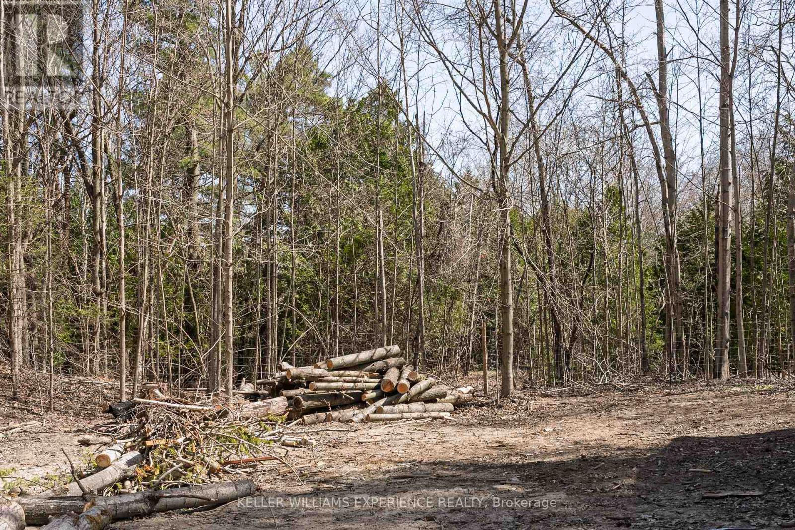 8294 County Rd 27, Essa, Ontario  L4N 9C4 - Photo 11 - N12124874
