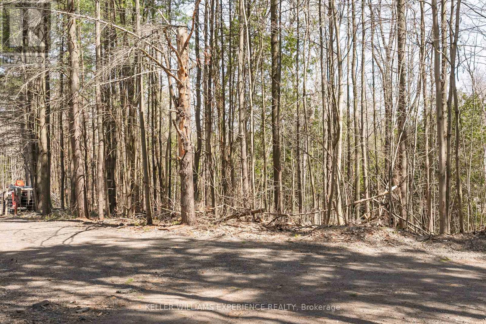 8294 County Rd 27, Essa, Ontario  L4N 9C4 - Photo 17 - N12124874