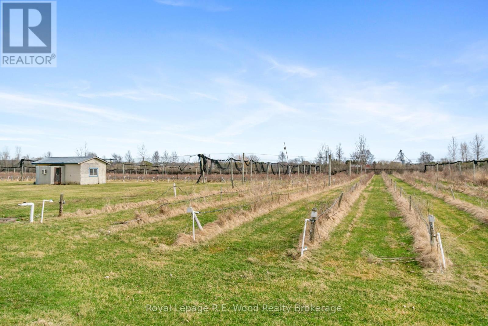 772216 Summerville Line, Norwich, Ontario  N0J 1R0 - Photo 27 - X12125158