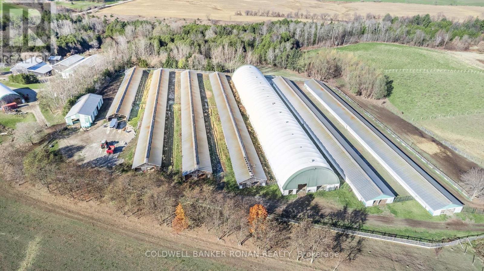 5735 Concession Rd 6, Adjala-Tosorontio, Ontario  L0M 1J0 - Photo 5 - N12125269
