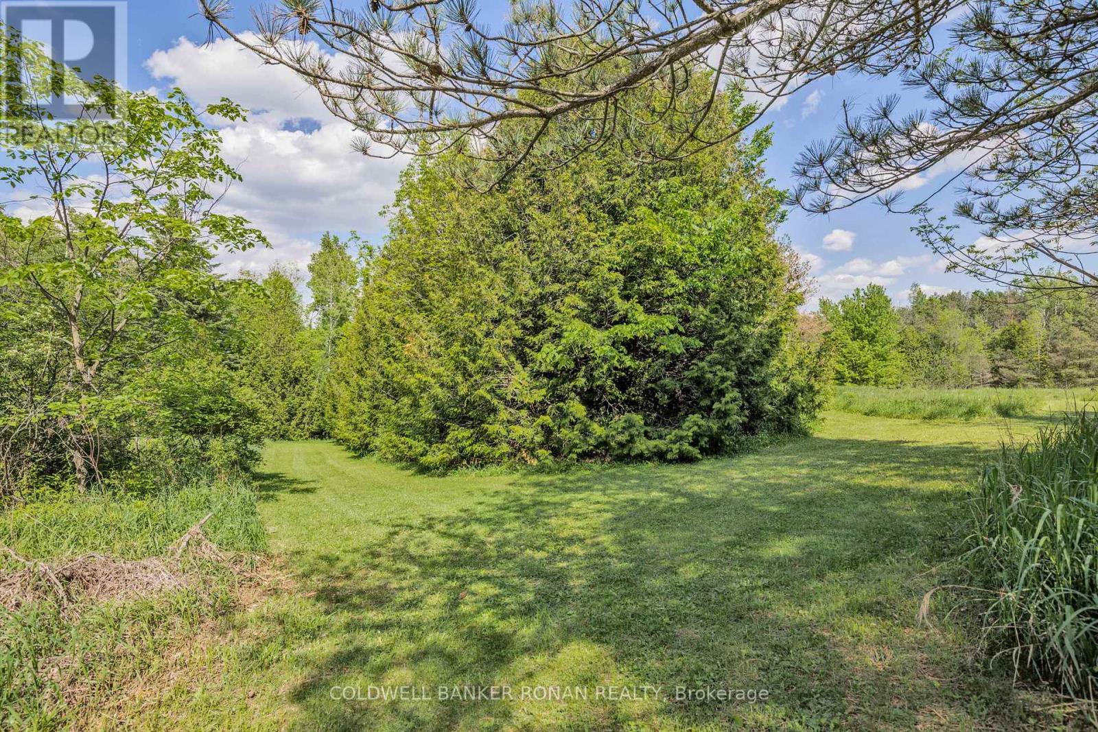 487283 Sideroad 30, Mono, Ontario  L9V 1H1 - Photo 40 - X12117973