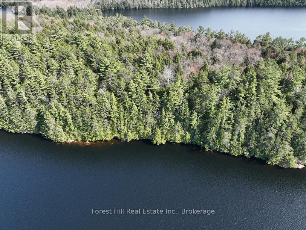 2-18863 North Creek Drive, Algonquin Highlands, Ontario  P0A 1E0 - Photo 7 - X12030227
