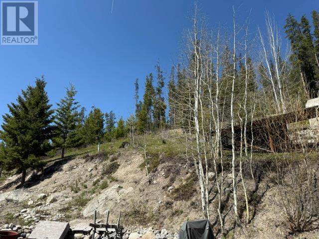 4158 Princeton Summerland Road, Princeton, British Columbia  V0X 1W0 - Photo 38 - 10346230
