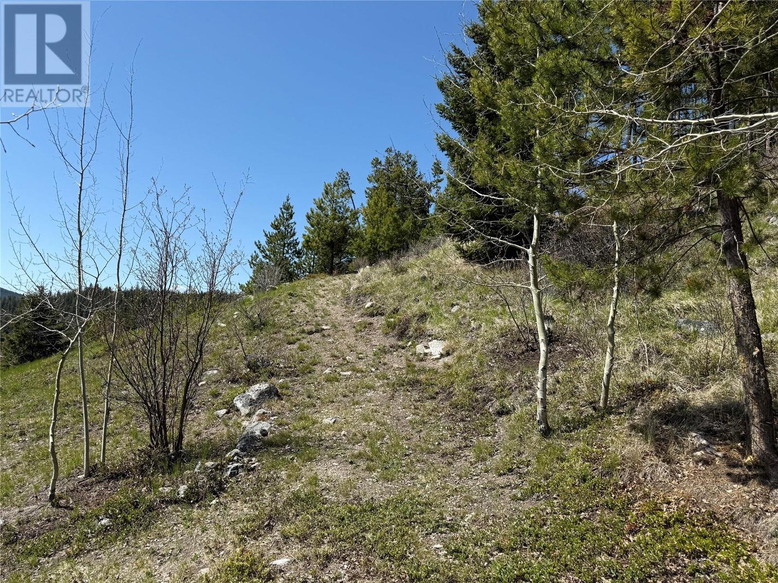 4158 Princeton Summerland Road, Princeton, British Columbia  V0X 1W0 - Photo 10 - 10346230