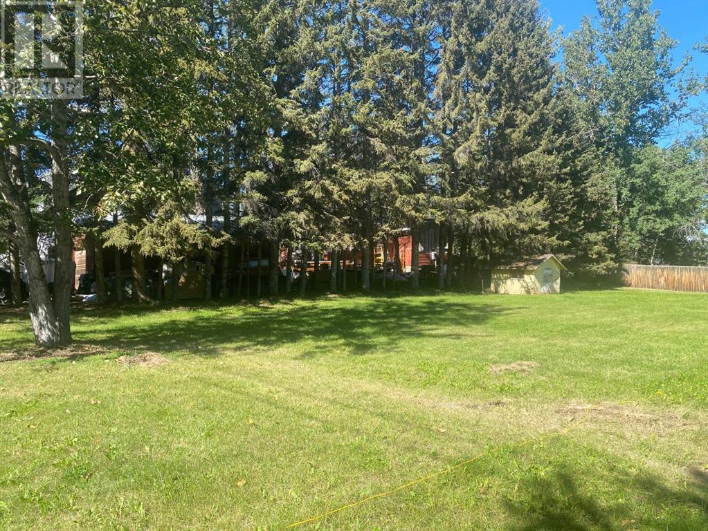 231 3rd Street Sw, Sundre, Alberta  T0M 1X0 - Photo 3 - A2163603