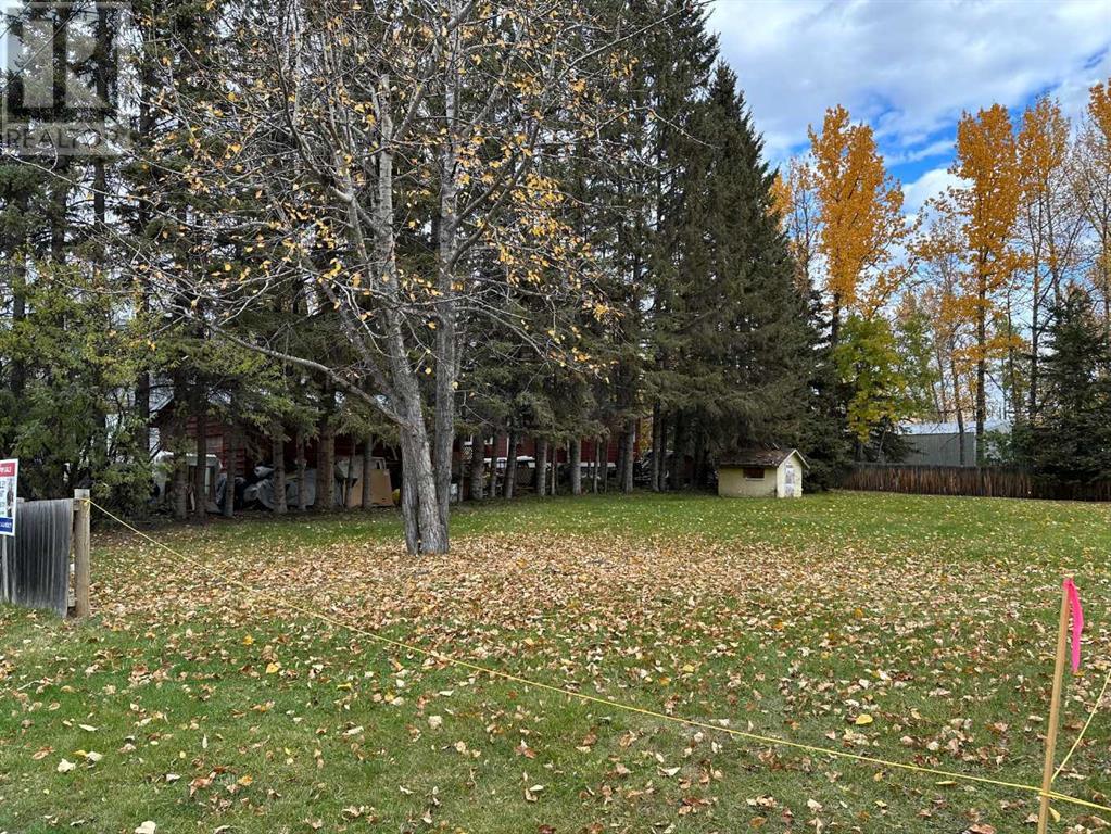 Property at 231 3rd Street SW image 1