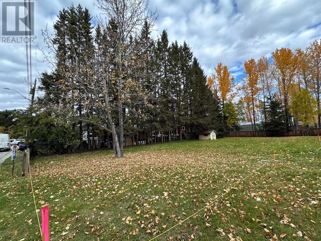 Property at 231 3rd Street SW image 3