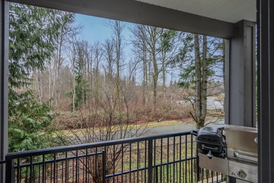 86 15665 Mountain View Drive, Surrey, British Columbia  V3Z 0W8 - Photo 33 - R2998204