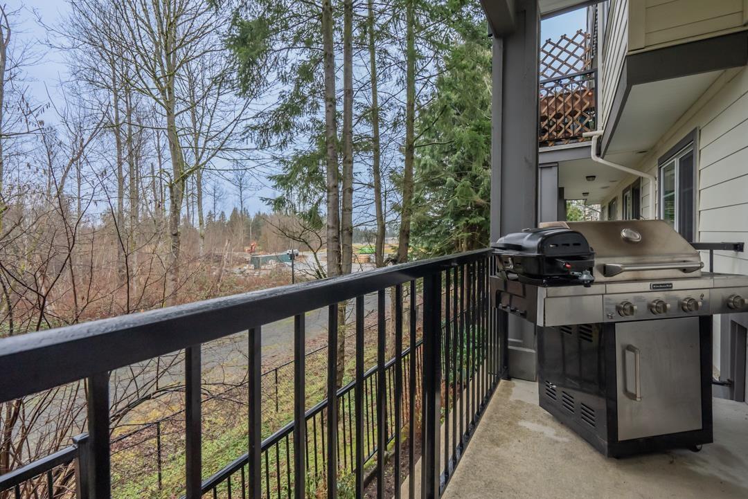 86 15665 Mountain View Drive, Surrey, British Columbia  V3Z 0W8 - Photo 34 - R2998204