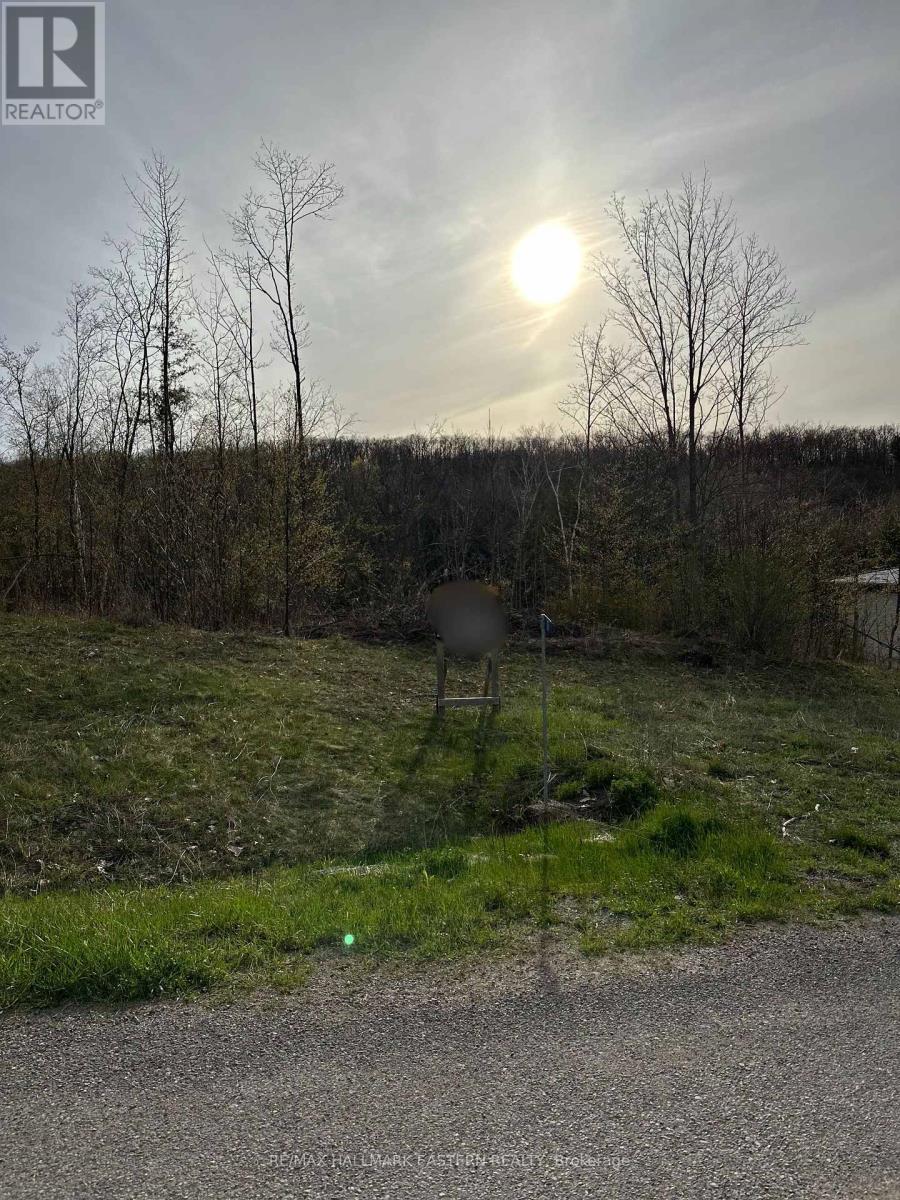 62 Trent View Drive, Trent Hills (Hastings), Ontario  K0L 1Y0 - Photo 1 - X12125734