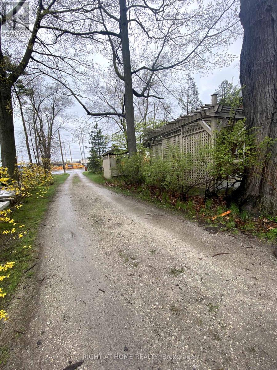 1559 Dixie Road, Mississauga, Ontario  L5E 2P8 - Photo 11 - W12125632
