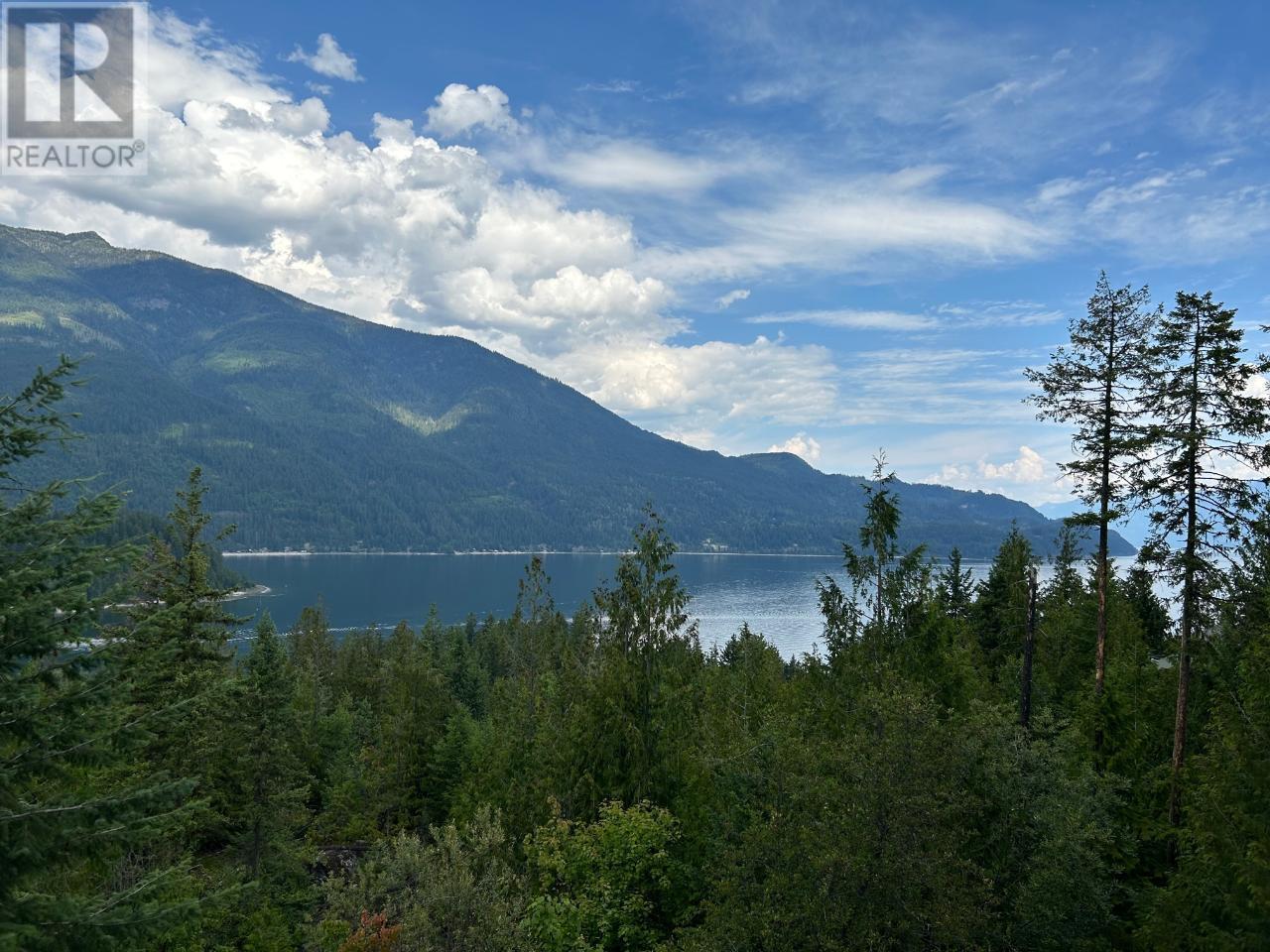 245 Rainbow Ridge Road, Procter, British Columbia  V1L 0B7 - Photo 44 - 10346374