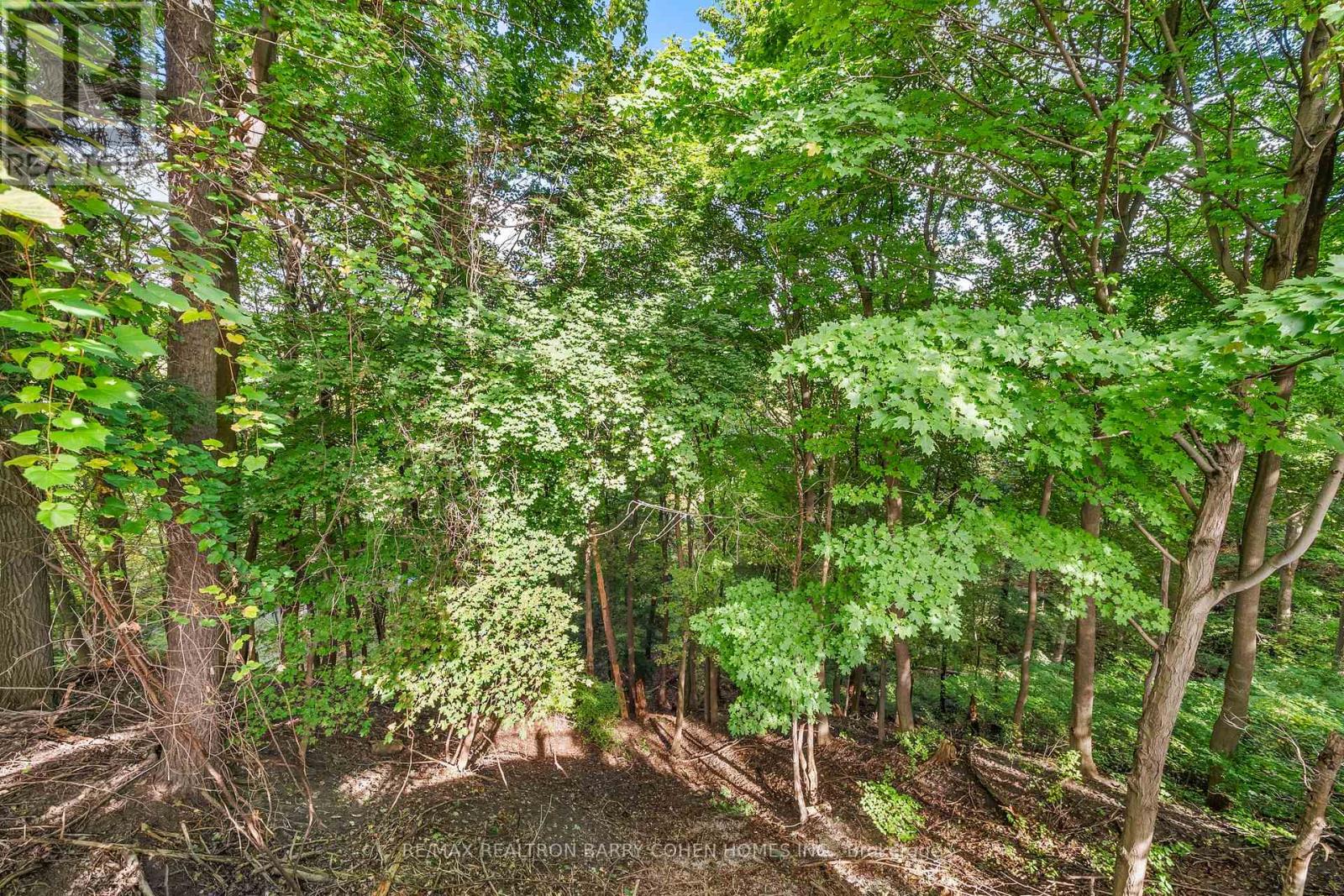 330 Riverview Drive, Toronto, Ontario  M4N 3E1 - Photo 7 - C12125721
