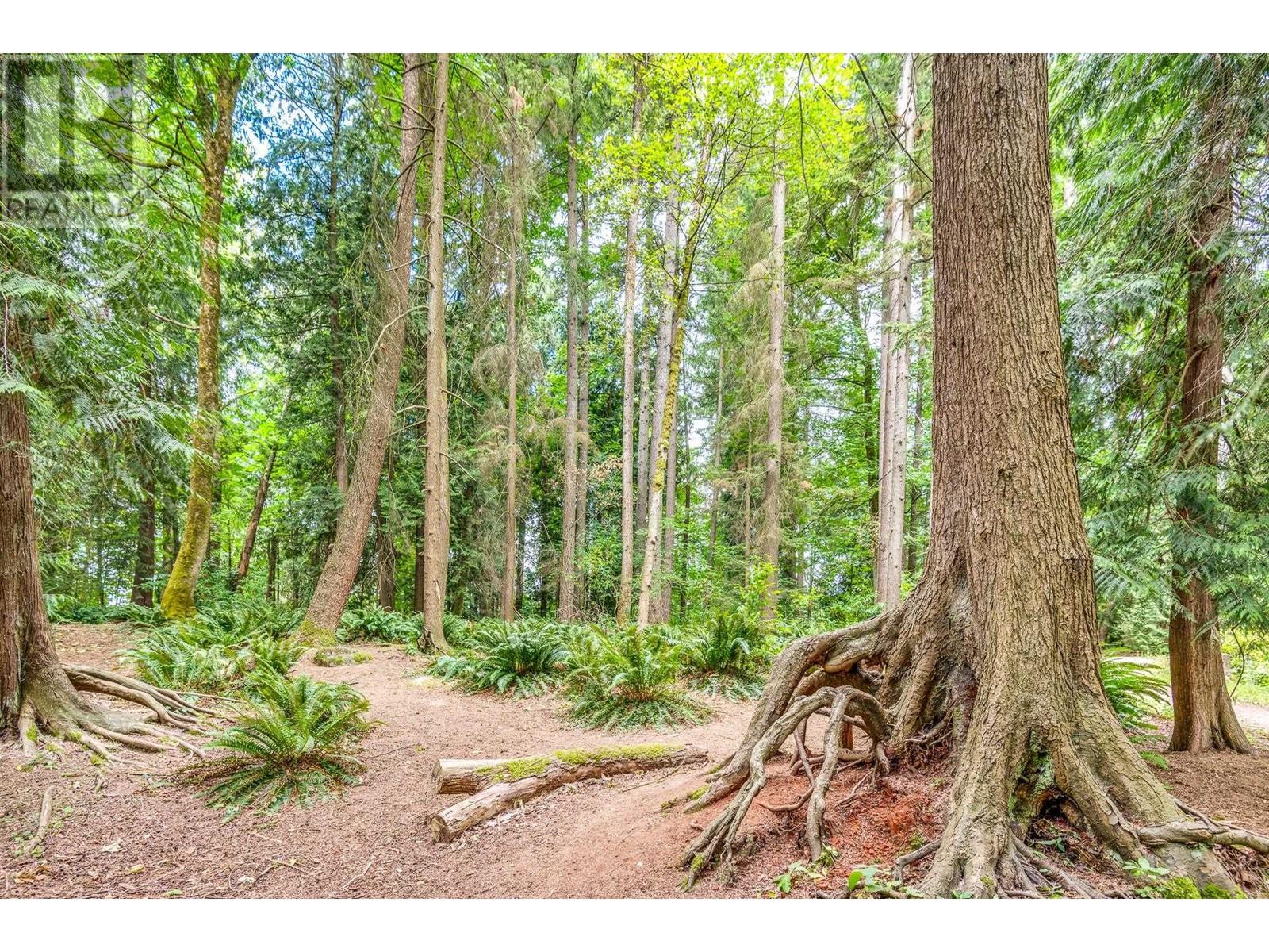 201 9143 Saturna Drive, Burnaby, British Columbia  V3J 7K1 - Photo 26 - R2998345