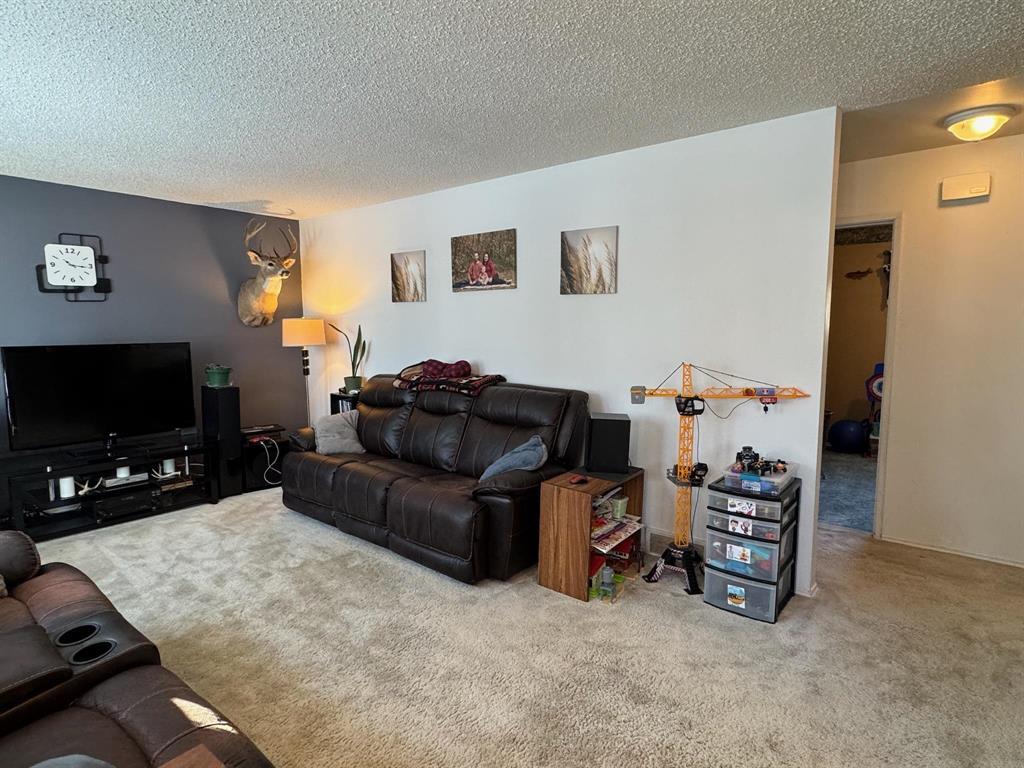 218 7th Avenue S, Swan River, Manitoba  R0L 1Z0 - Photo 12 - 202509828