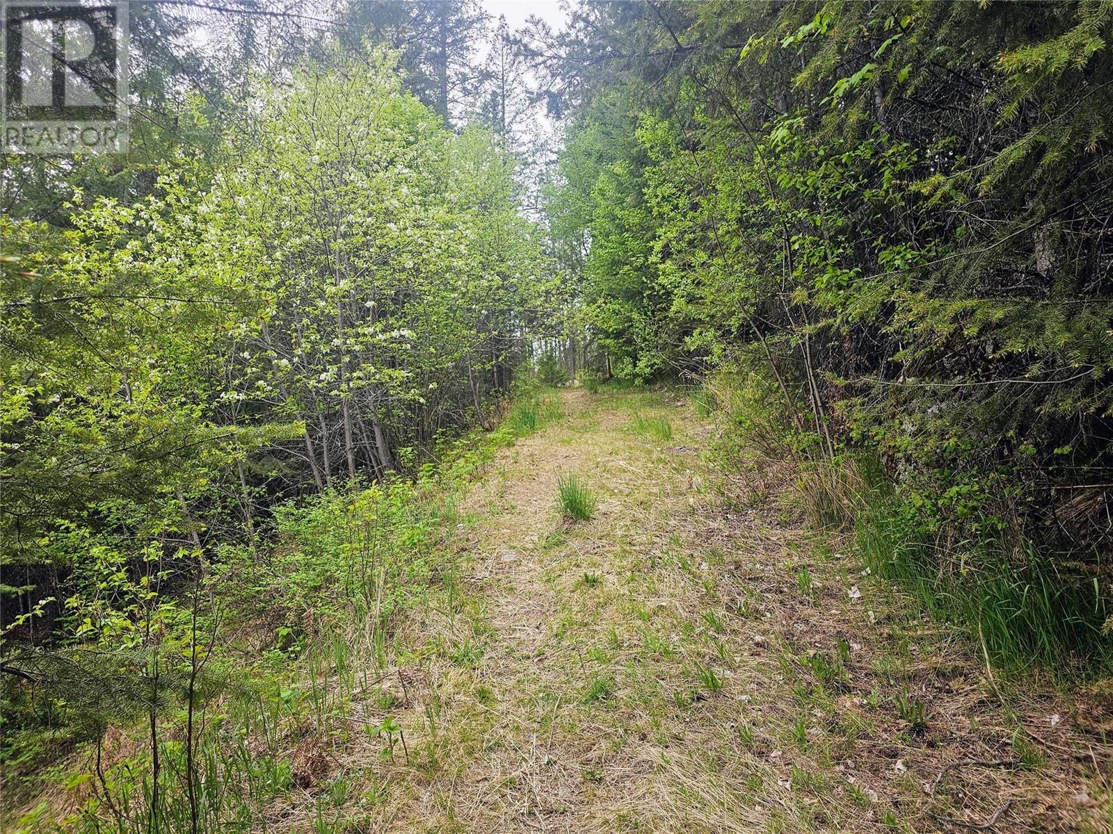 2861 Six Mile Lakes Road, Nelson, British Columbia  V1L 6W3 - Photo 30 - 10346465