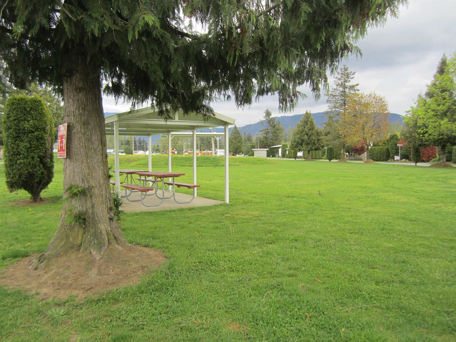 68 8400 Shook Road, Mission, British Columbia  V0V 0V0 - Photo 9 - R2992442