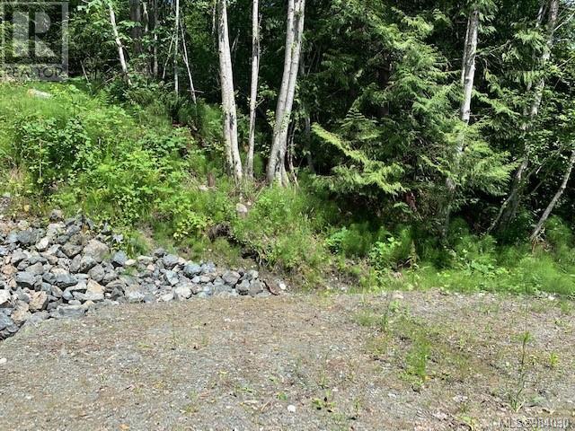 167 River Rd, Lake Cowichan, British Columbia  V0R 2G0 - Photo 10 - 984030