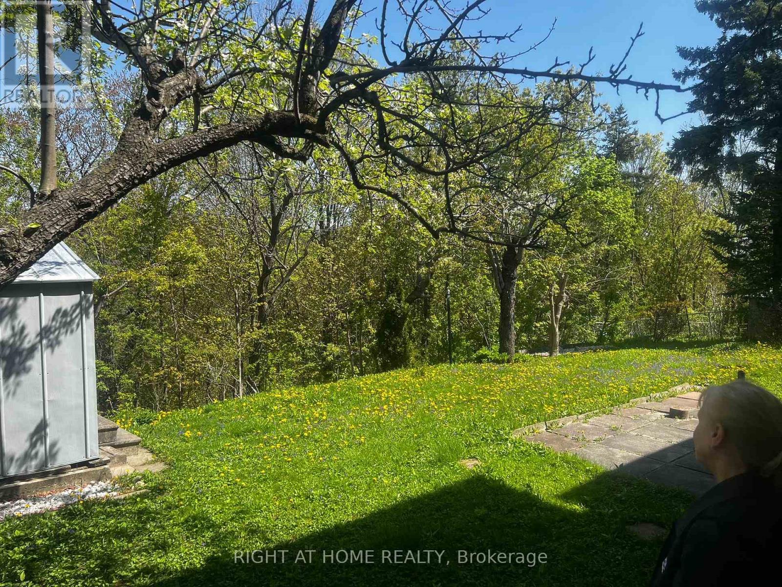W/out Basement - 35 Troutbrooke Drive, Toronto (Downsview-Roding-Cfb), Ontario  M3M 1S6 - Photo 12 - W12125909