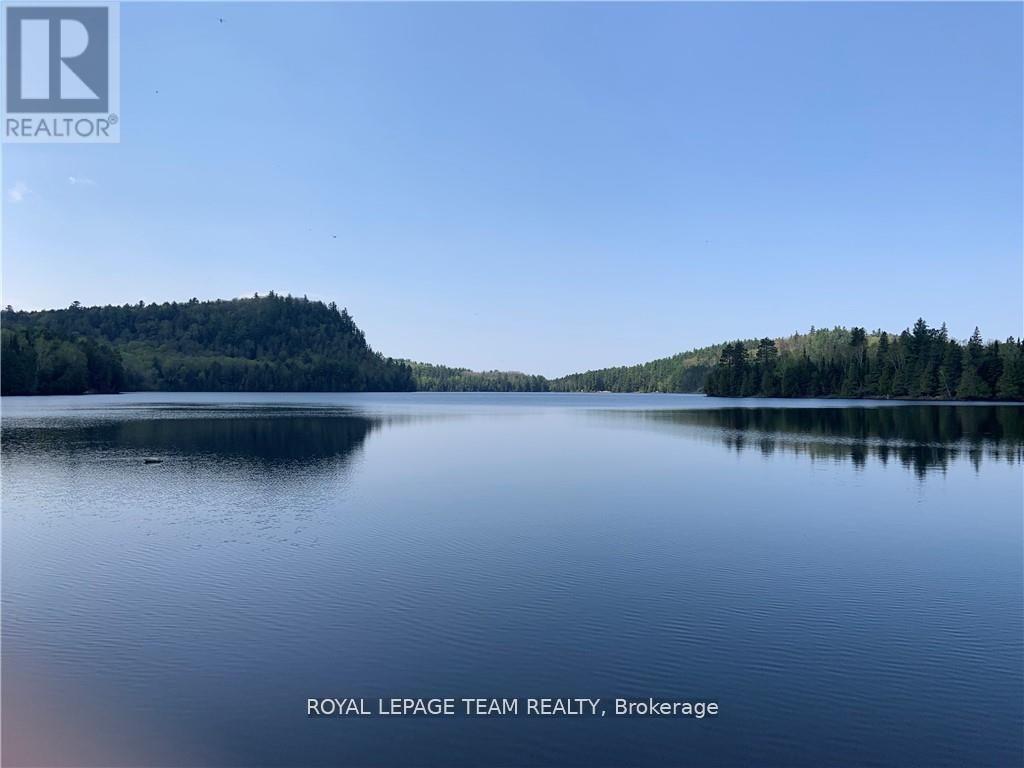 00 Grouse Road, Madawaska Valley, Ontario  K0J 1B0 - Photo 4 - X12125969