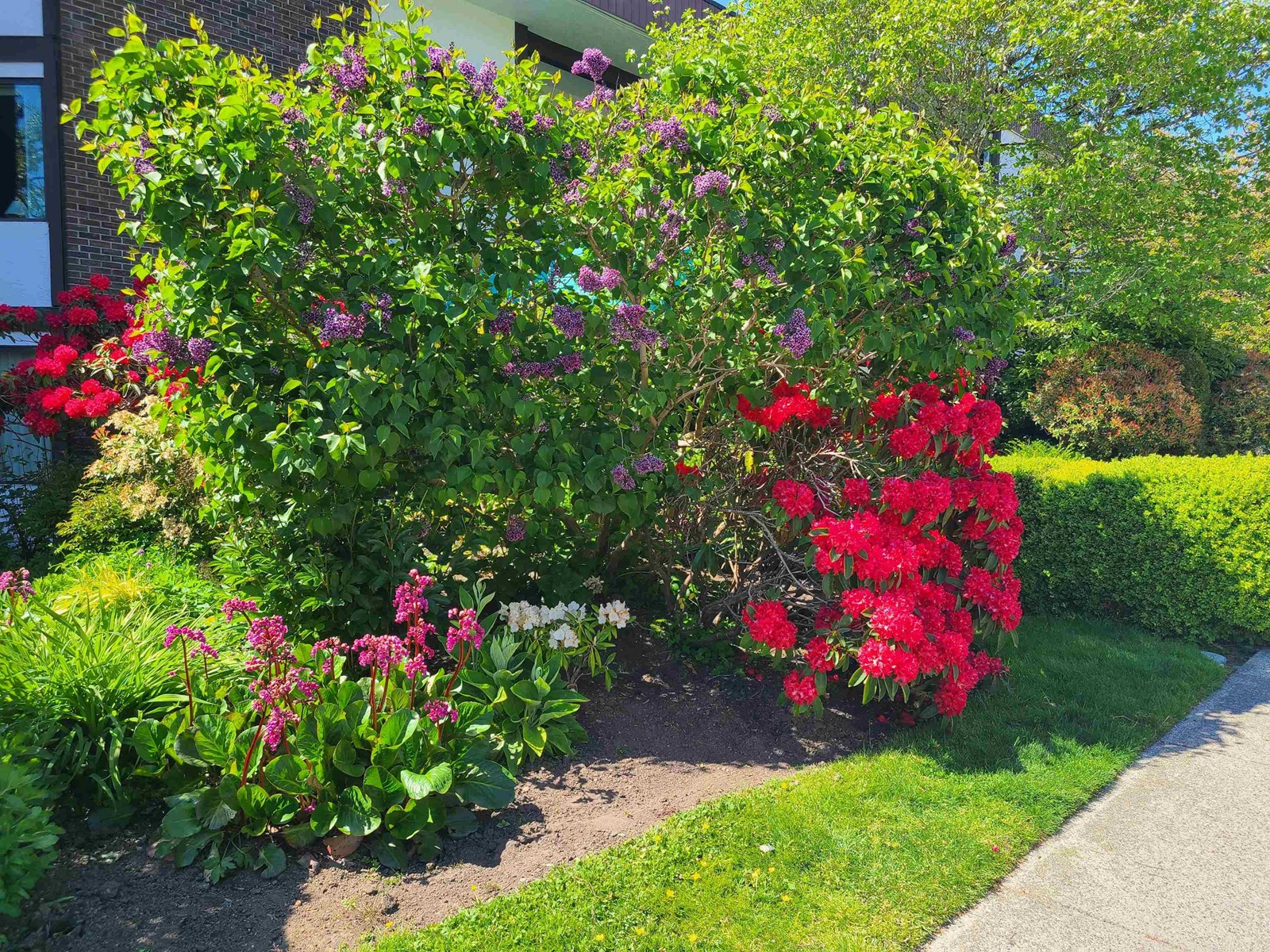 111 1521 Blackwood Street, White Rock, British Columbia  V4B 3V6 - Photo 3 - R2990091