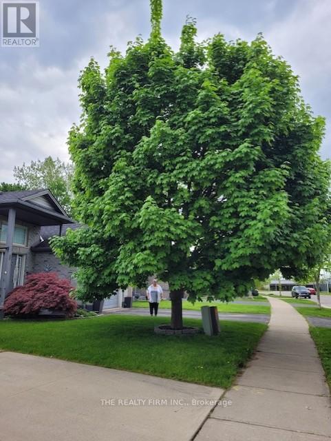 Photo 49 of 49 for 1864 Marconi Boulevard