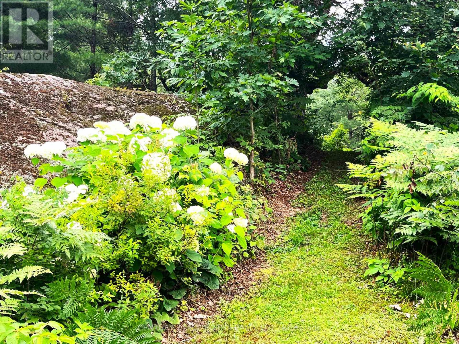 Property at 20 BLACK RIVER ROAD image 3